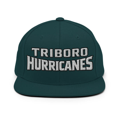 Snapback Hat | Hurricanes | Script Logo