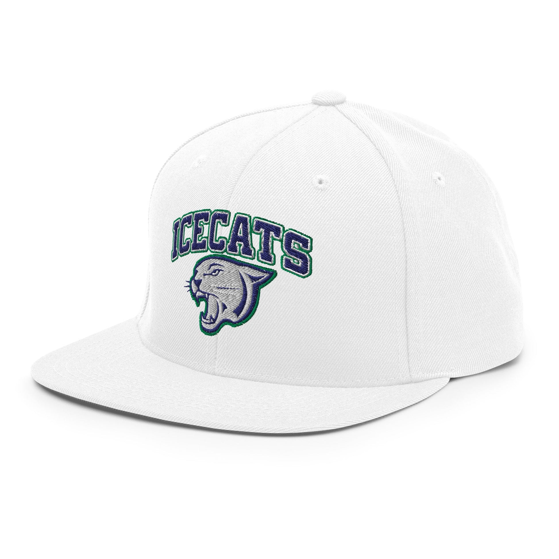 Snapback Hat | Ice Cats