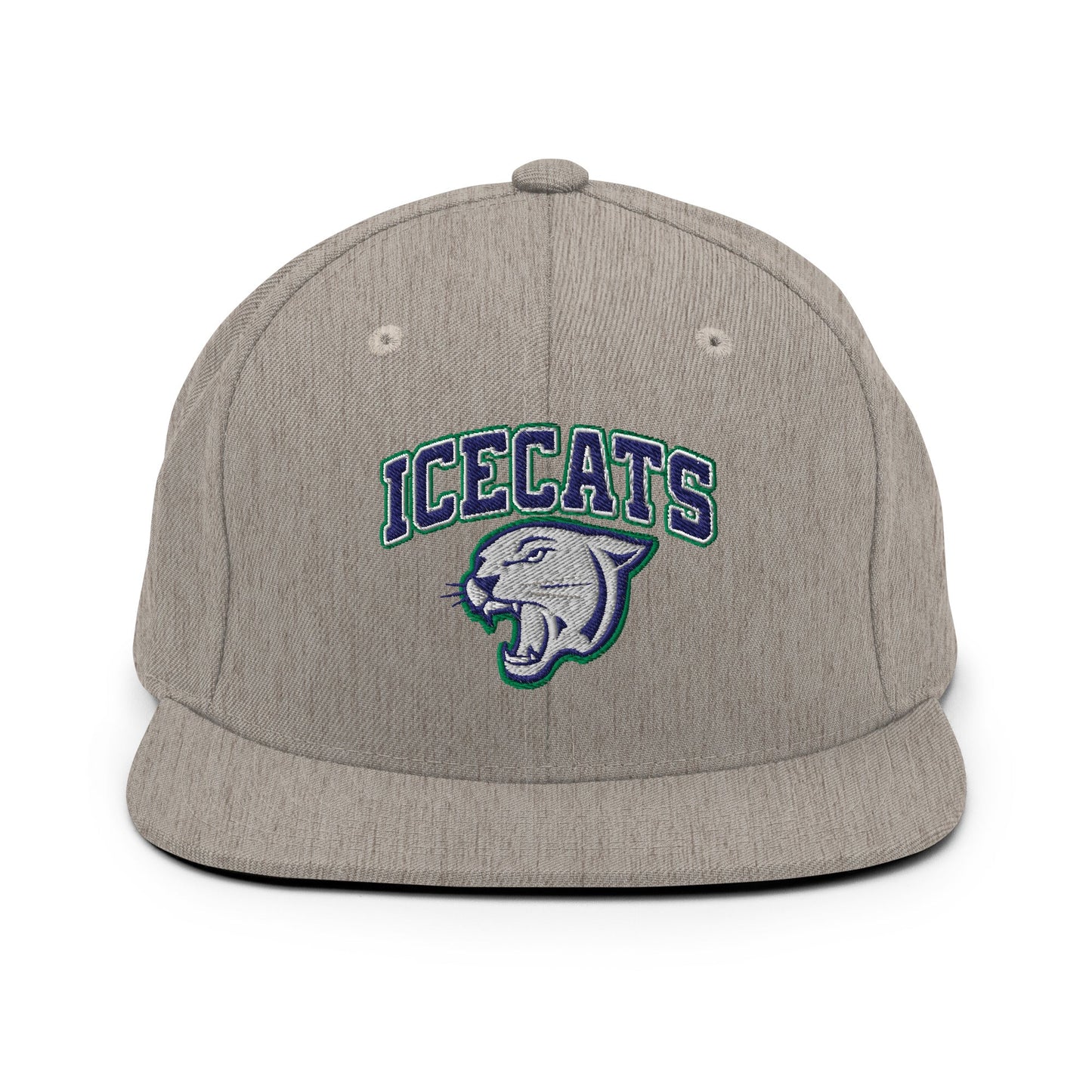 Snapback Hat | Ice Cats