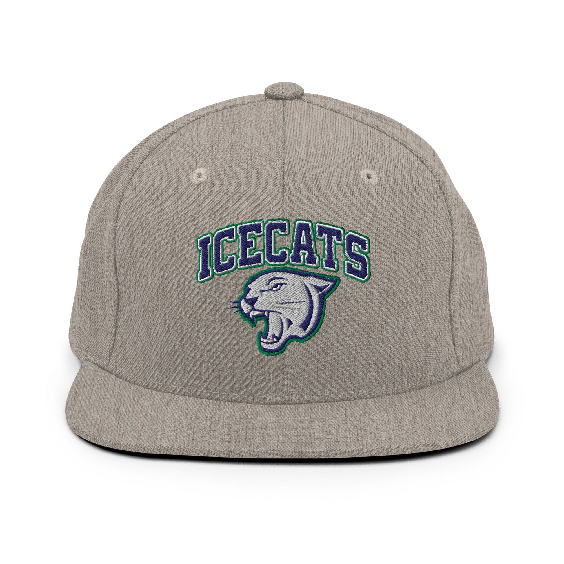 Snapback Hat | Ice Cats