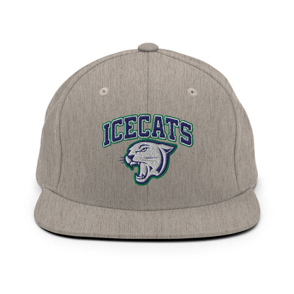 Snapback Hat | Ice Cats
