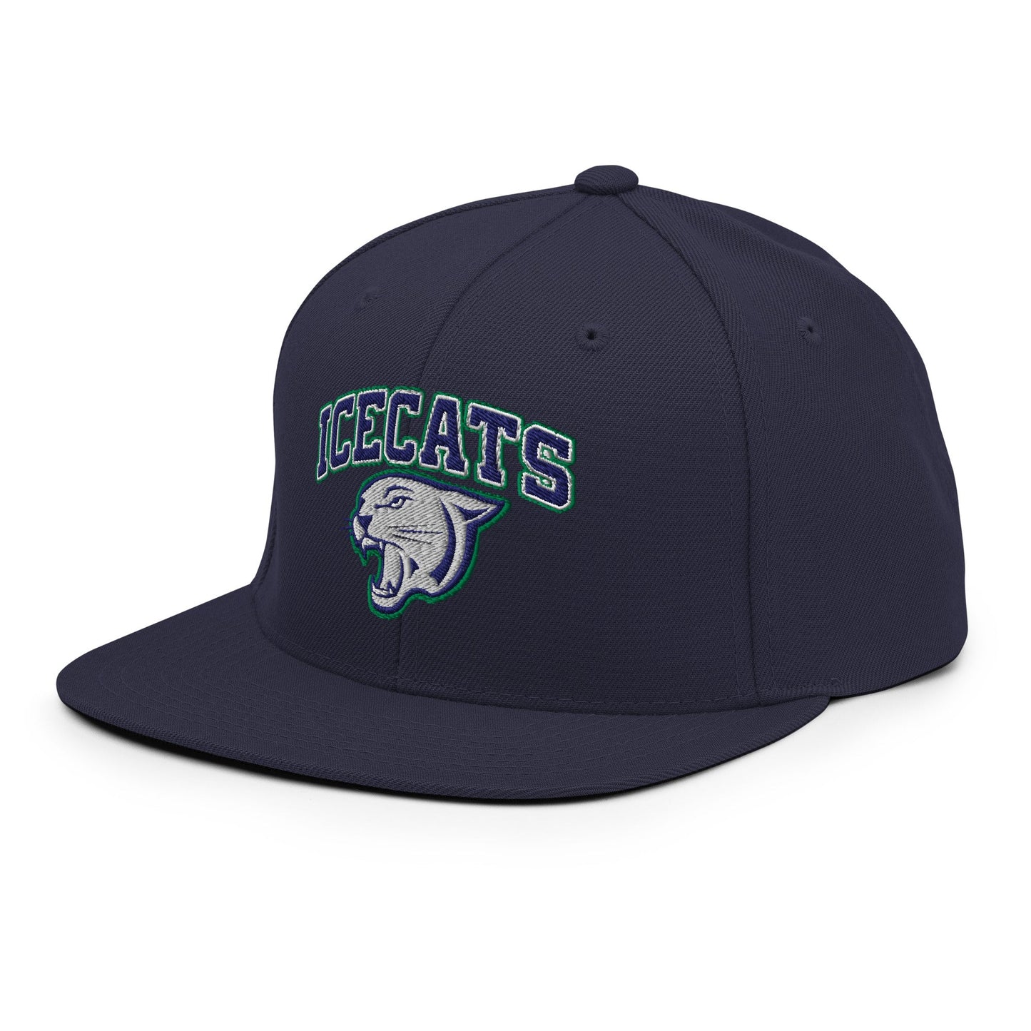 Snapback Hat | Ice Cats