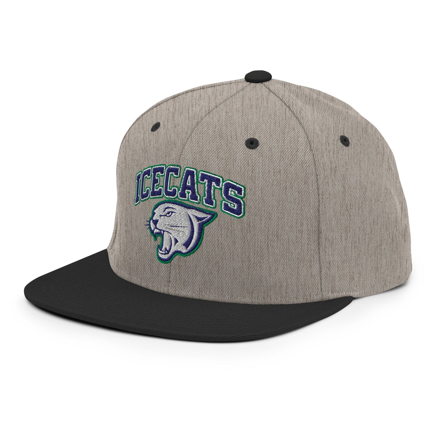Snapback Hat | Ice Cats