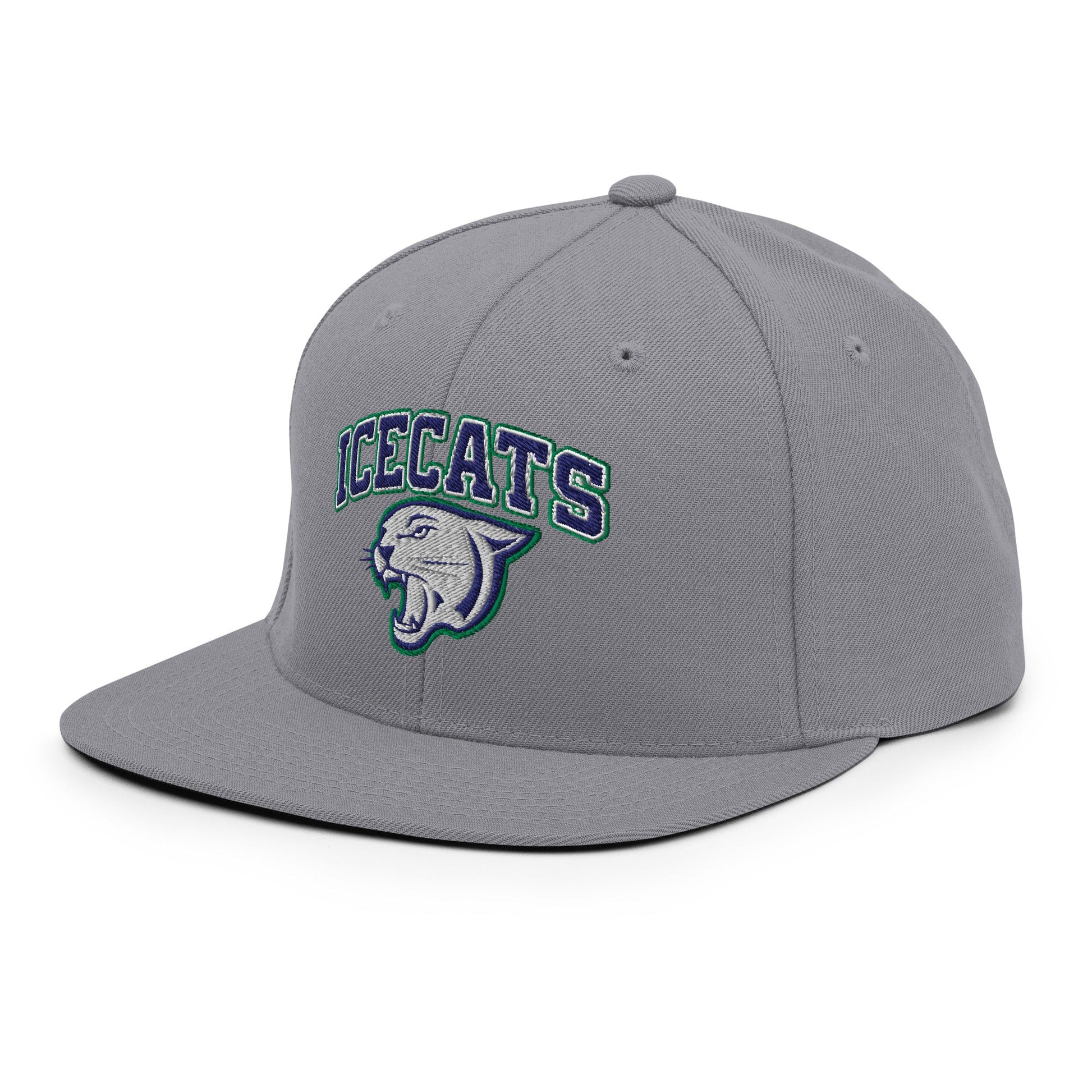Snapback Hat | Ice Cats
