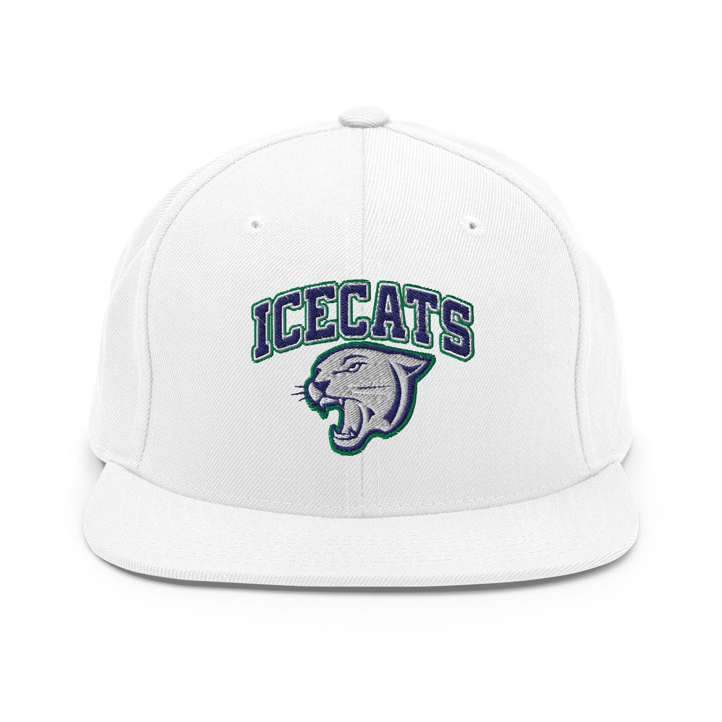 Snapback Hat | Ice Cats