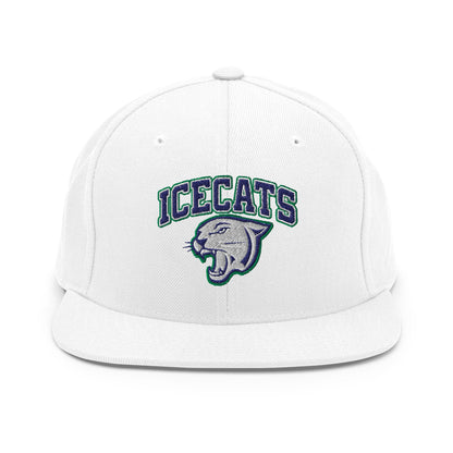 Snapback Hat | Ice Cats