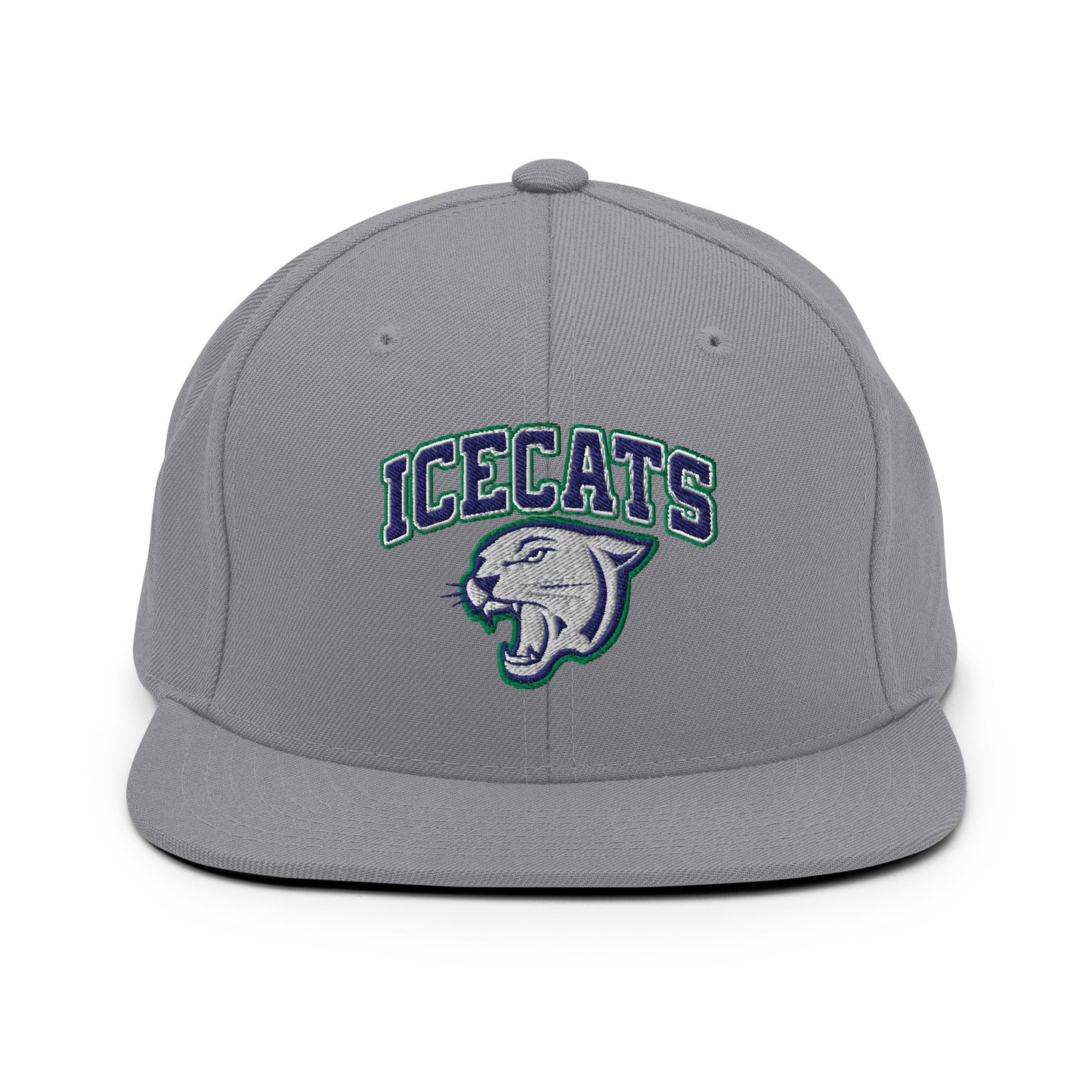 Snapback Hat | Ice Cats