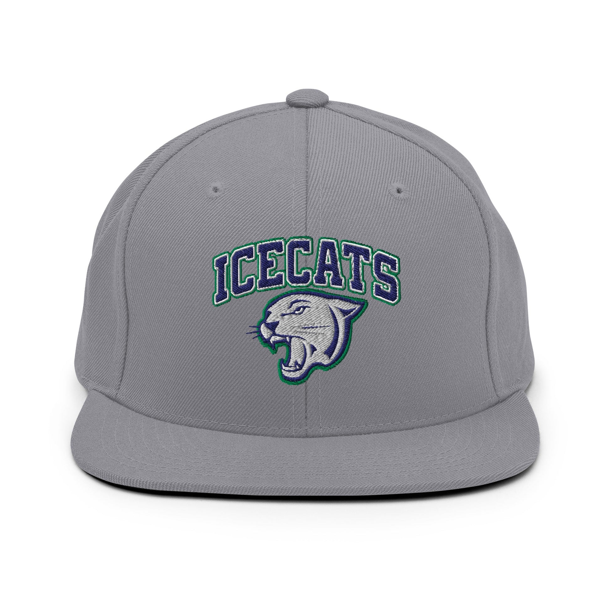 Snapback Hat | Ice Cats