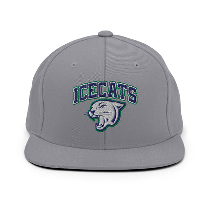 Snapback Hat | Ice Cats