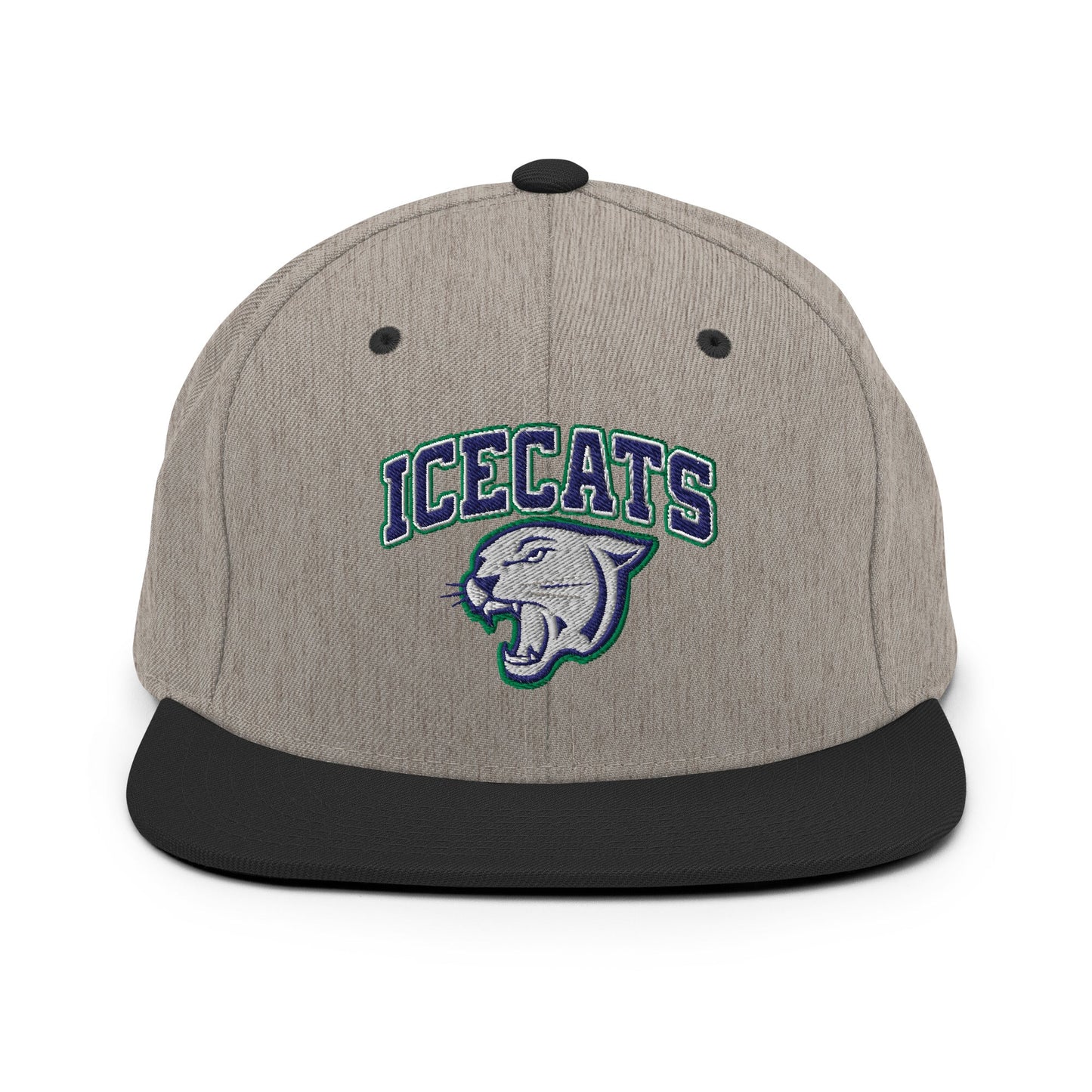 Snapback Hat | Ice Cats
