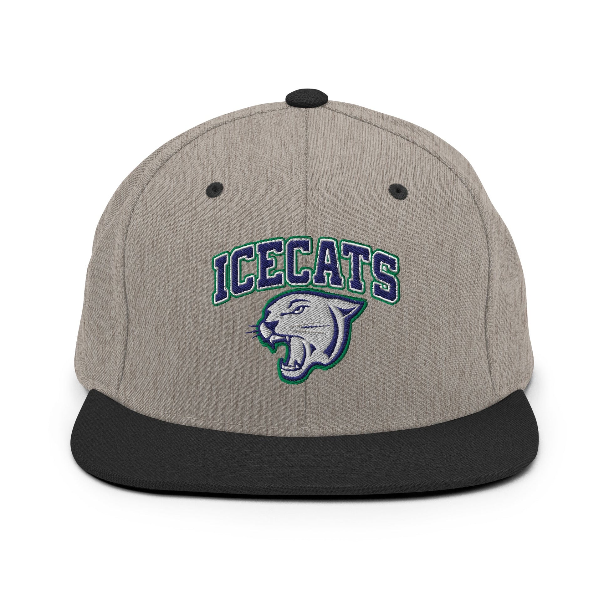 Snapback Hat | Ice Cats