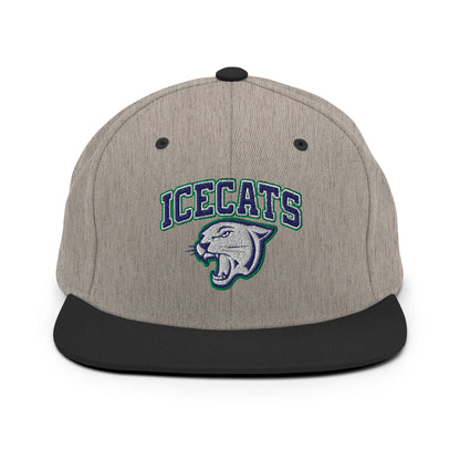 Snapback Hat | Ice Cats
