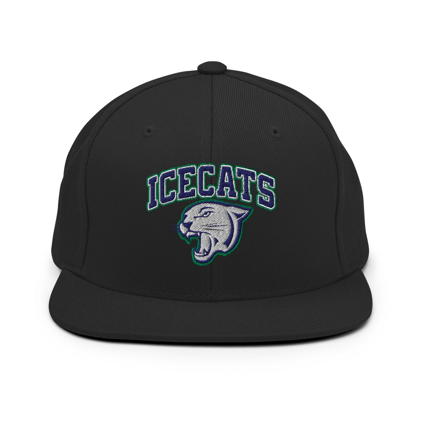 Snapback Hat | Ice Cats