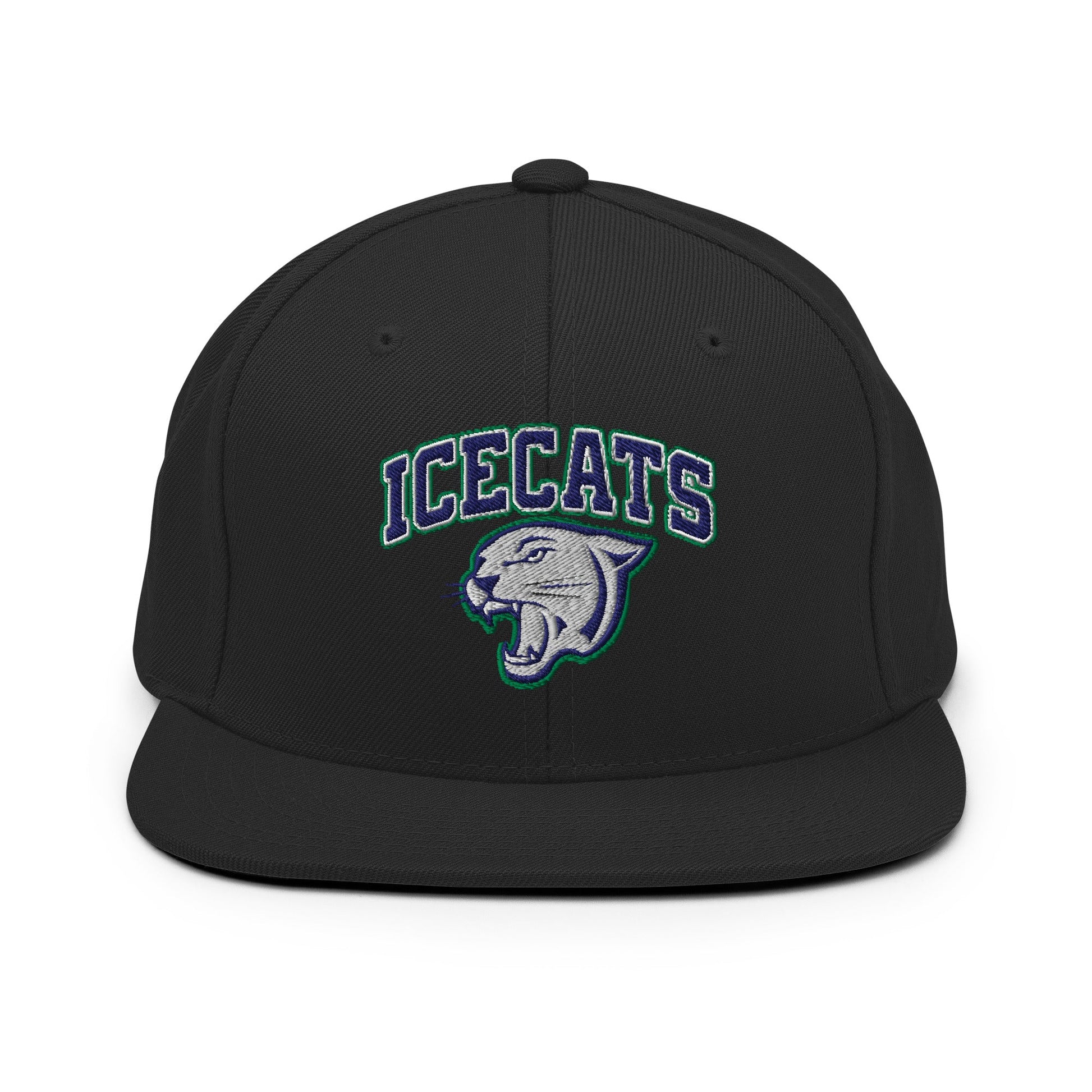 Snapback Hat | Ice Cats