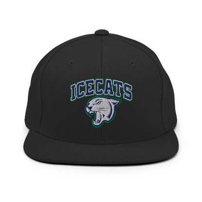 Snapback Hat | Ice Cats