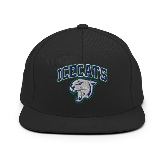 Snapback Hat | Ice Cats