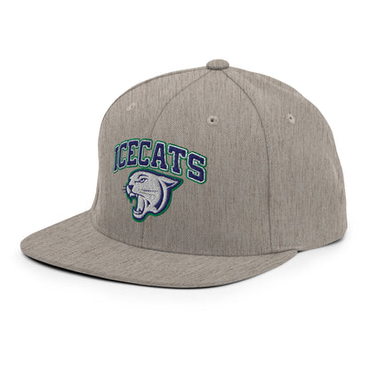 Snapback Hat | Ice Cats