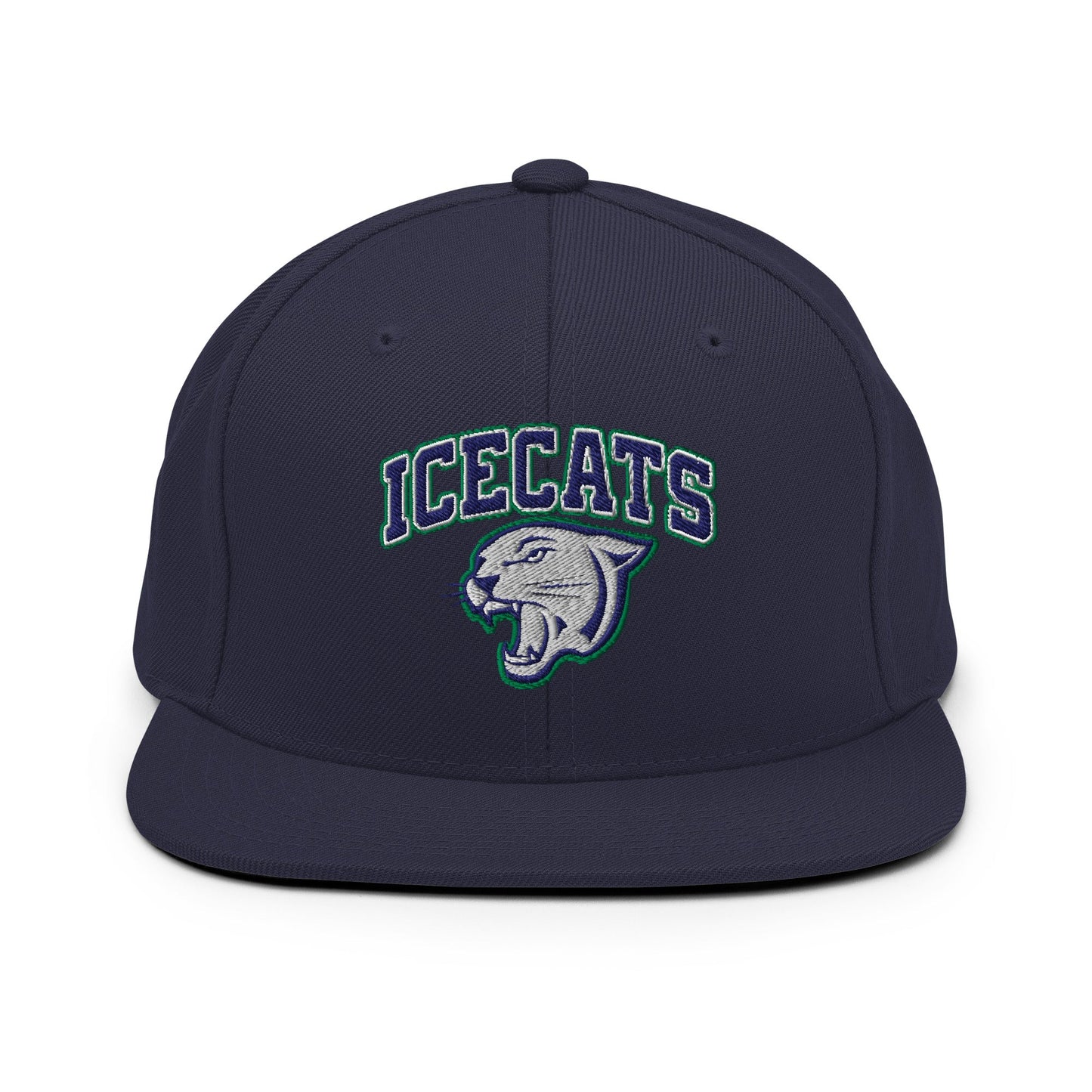 Snapback Hat | Ice Cats