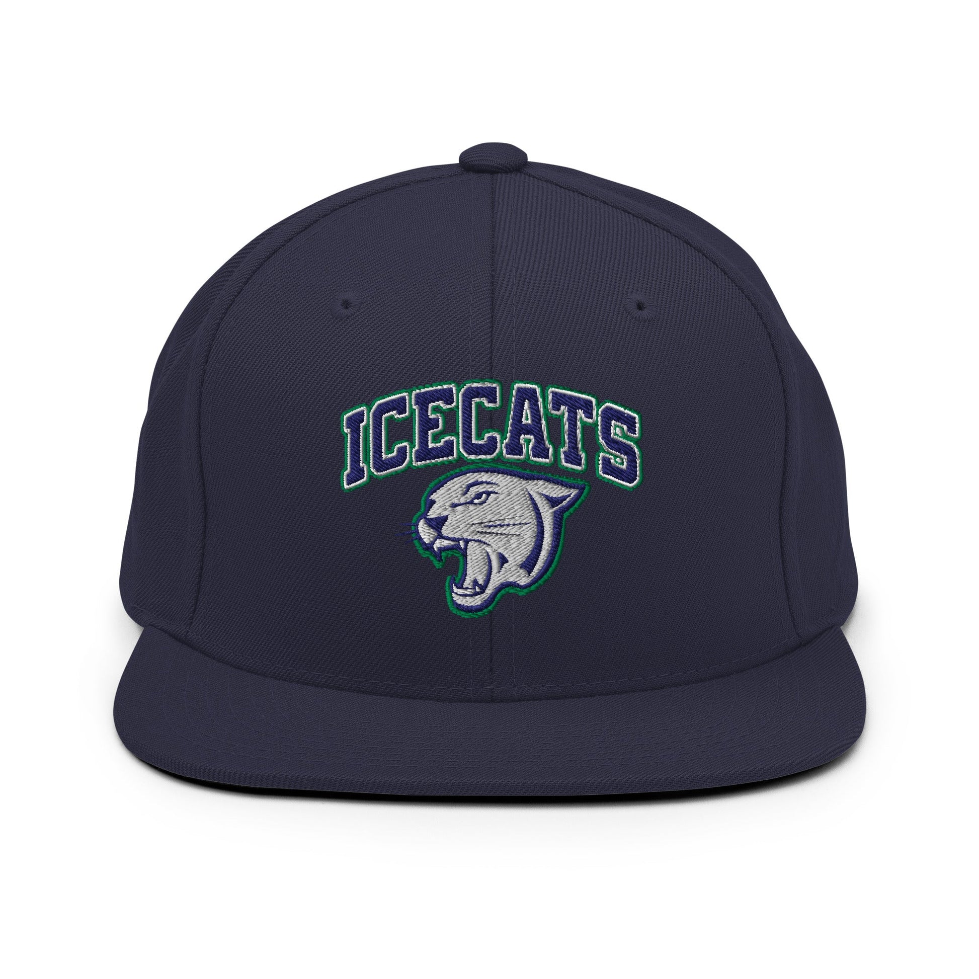 Snapback Hat | Ice Cats