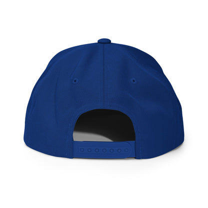 Snapback Hat | Idaho FBU
