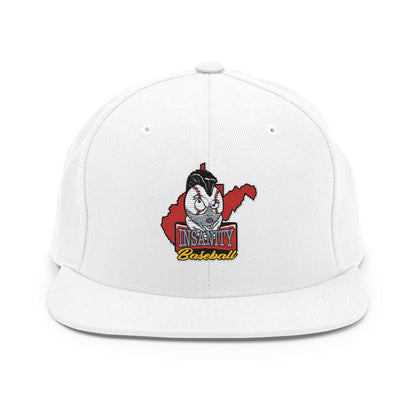 Snapback Hat | Insanity Baseball