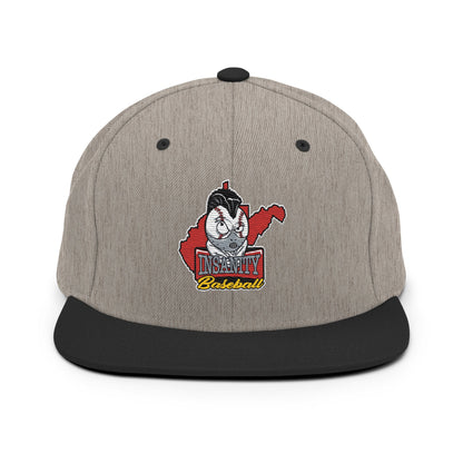 Snapback Hat | Insanity Baseball