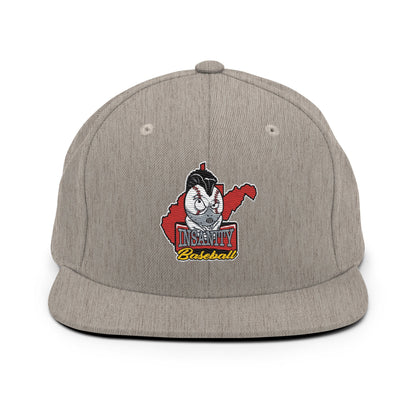 Snapback Hat | Insanity Baseball