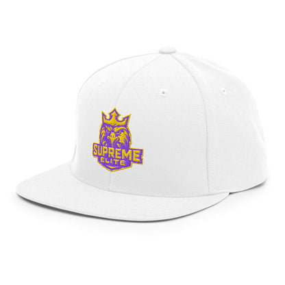 Snapback Hat | Iron eagle | Elite Logo