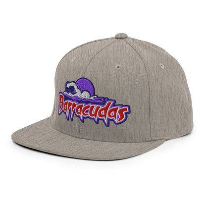 Snapback Hat | Johnson Ranch Barracudas