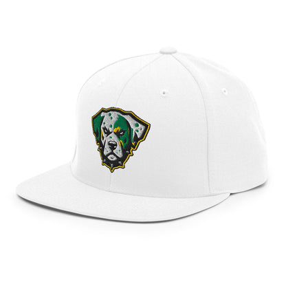 Snapback Hat | Lake Erie Power Pines | Mascot Logo