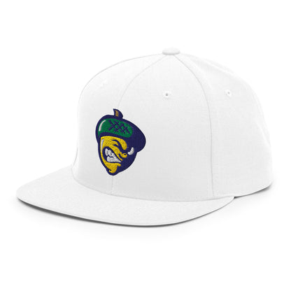 Snapback Hat | Live Oak Basketball