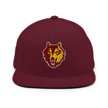 Snapback Hat | Loyola University Chicago Club Waterpolo