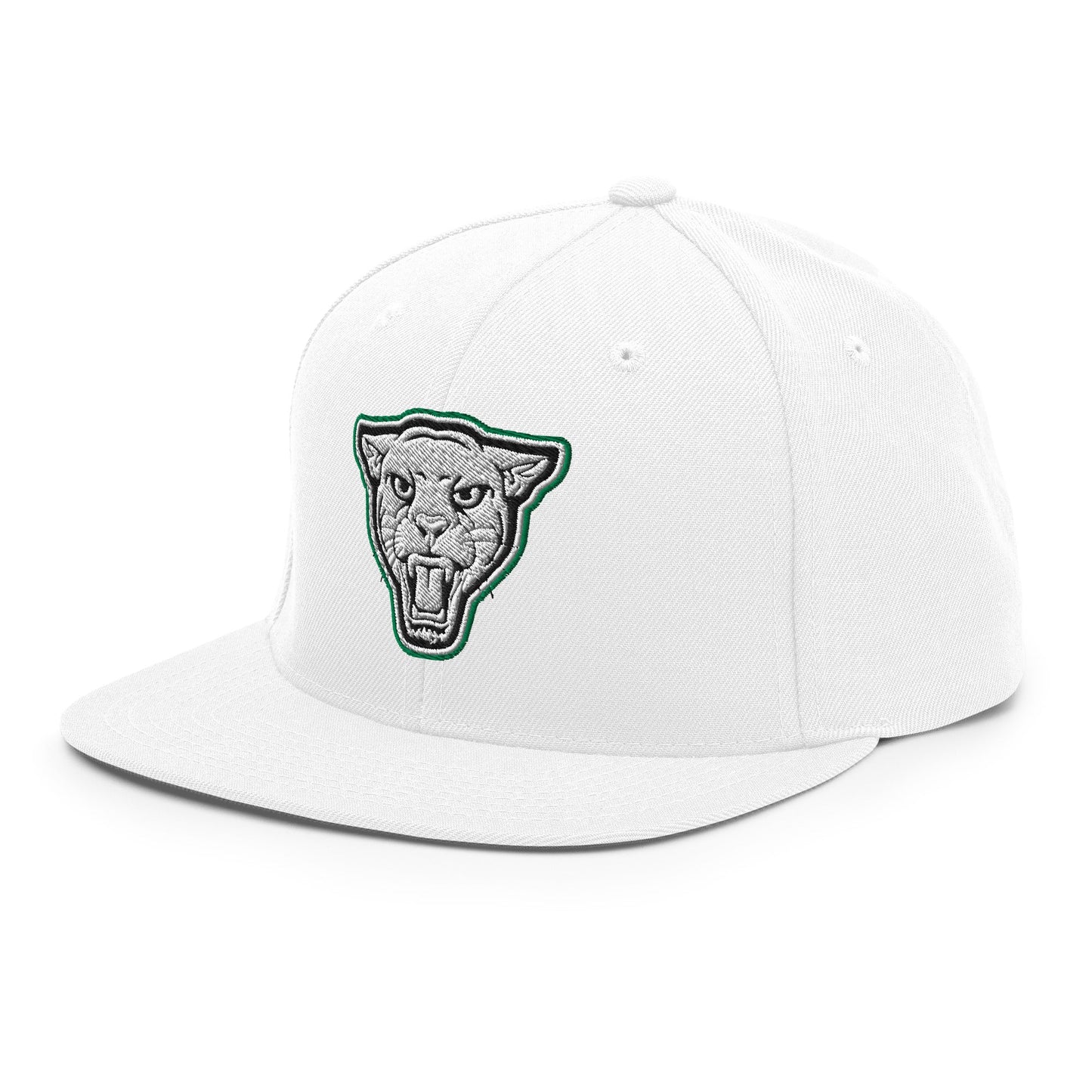Snapback Hat | Matt Power Elite