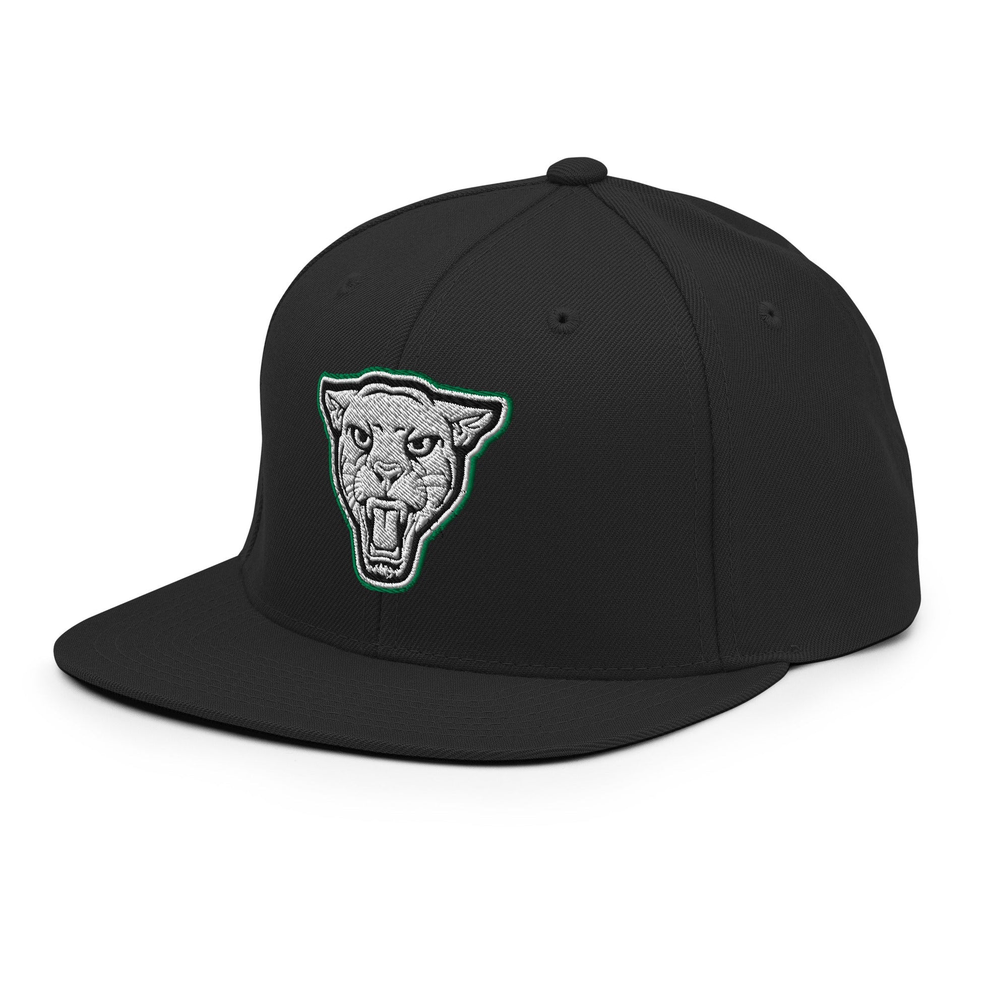 Snapback Hat | Matt Power Elite