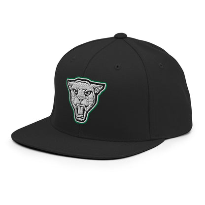 Snapback Hat | Matt Power Elite