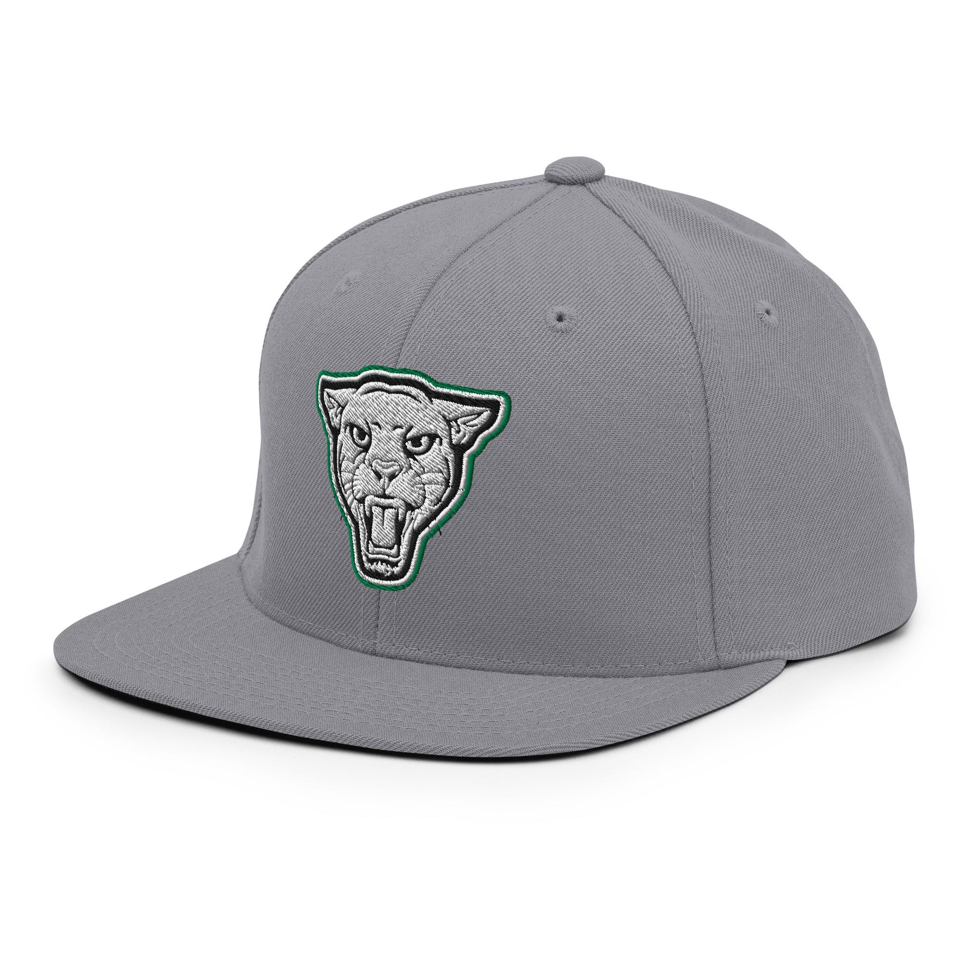 Snapback Hat | Matt Power Elite