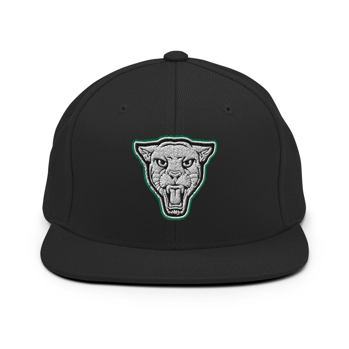 Snapback Hat | Matt Power Elite