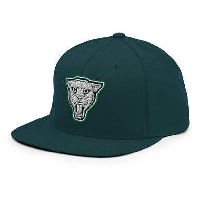 Snapback Hat | Matt Power Elite