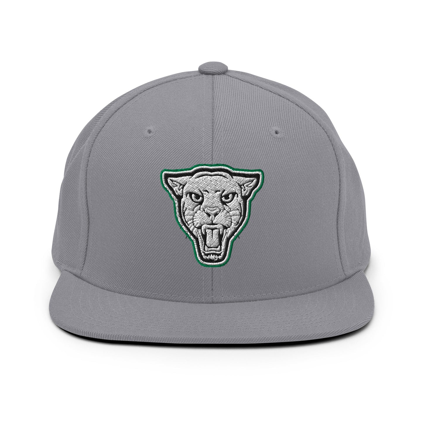 Snapback Hat | Matt Power Elite