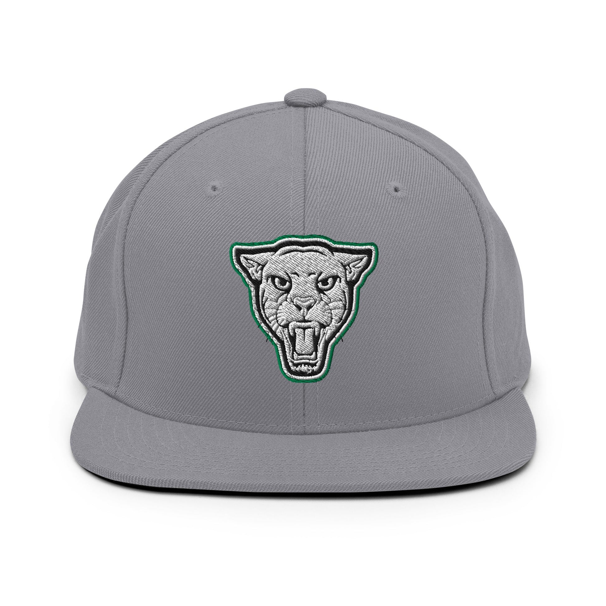 Snapback Hat | Matt Power Elite