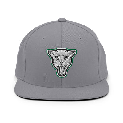 Snapback Hat | Matt Power Elite