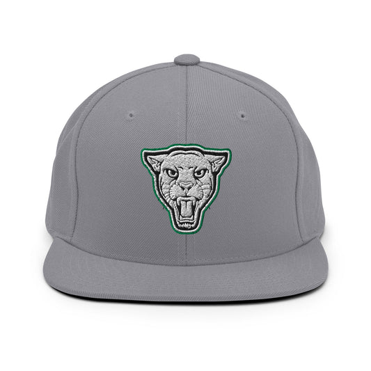 Snapback Hat | Matt Power Elite
