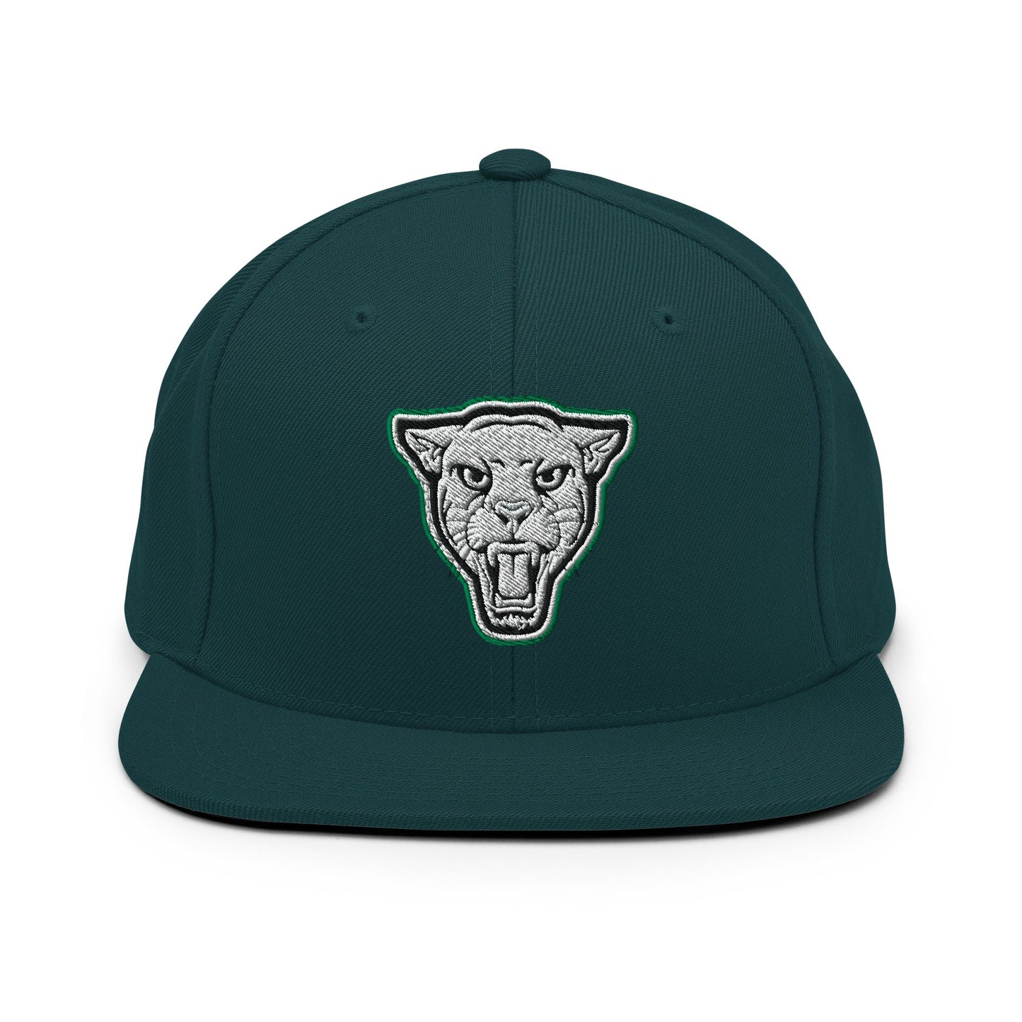 Snapback Hat | Matt Power Elite