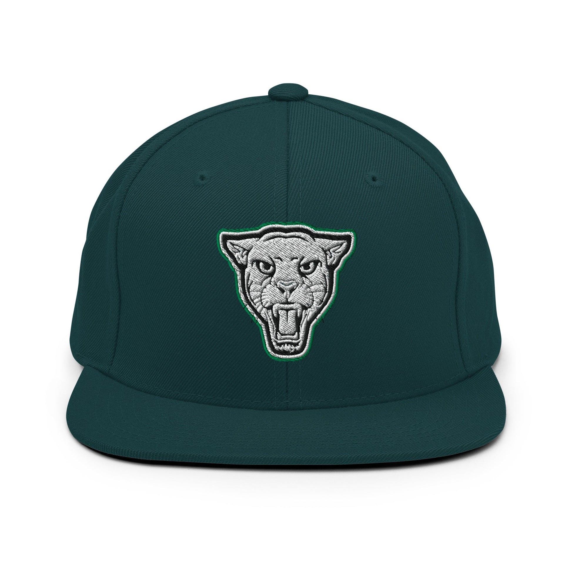 Snapback Hat | Matt Power Elite