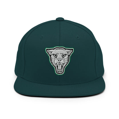 Snapback Hat | Matt Power Elite
