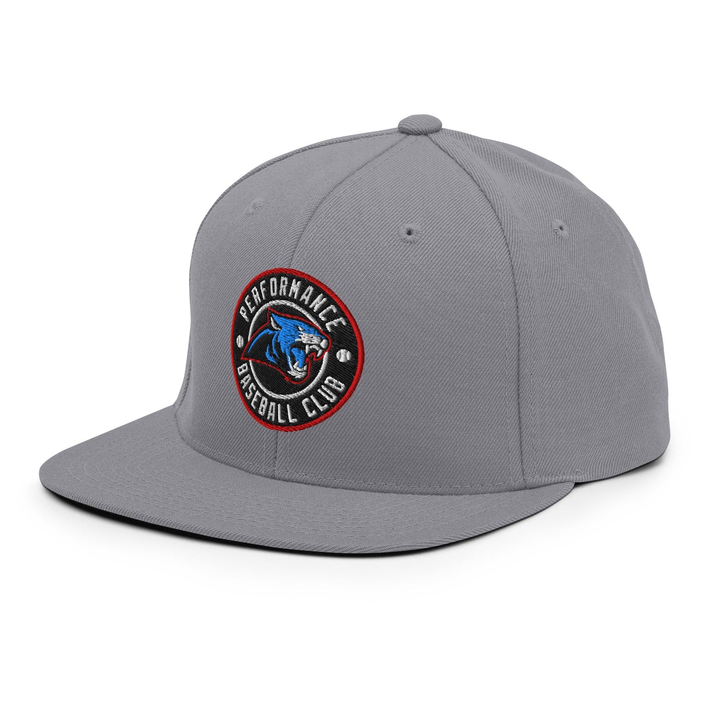 Snapback Hat | Performance Baseball Club