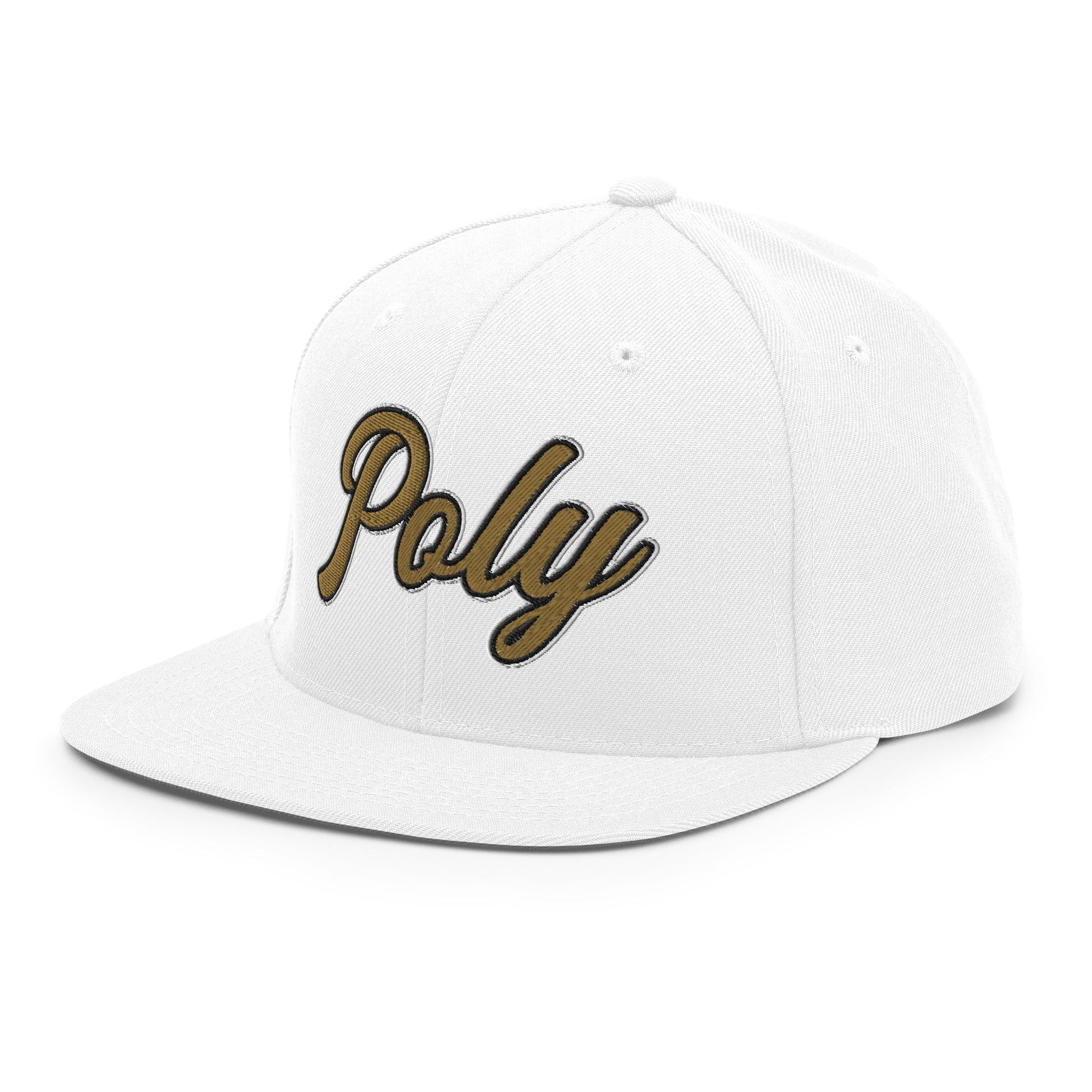 Snapback Hat | Purdue Polytechnic High School