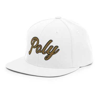 Snapback Hat | Purdue Polytechnic High School