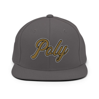 Snapback Hat | Purdue Polytechnic High School