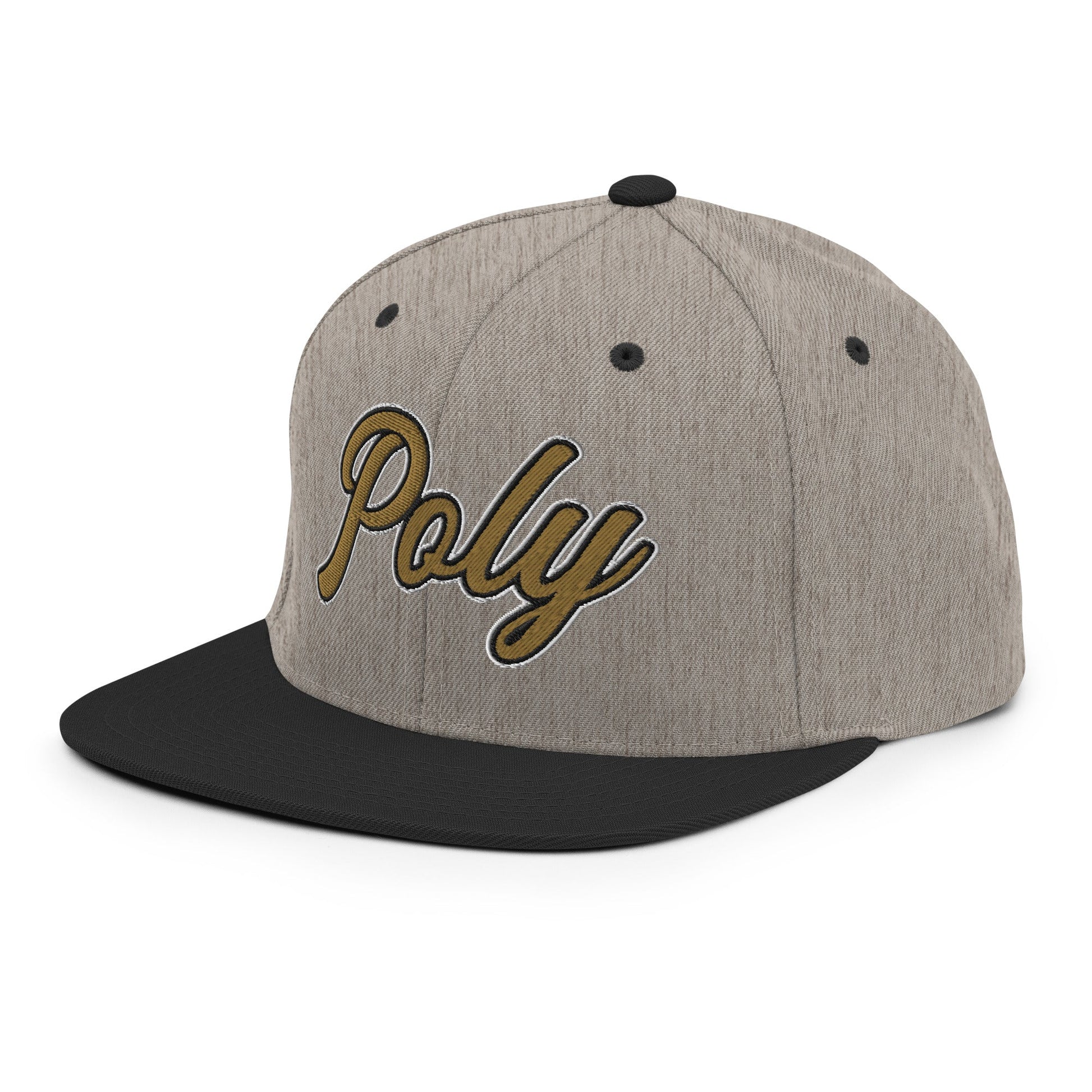 Snapback Hat | Purdue Polytechnic High School